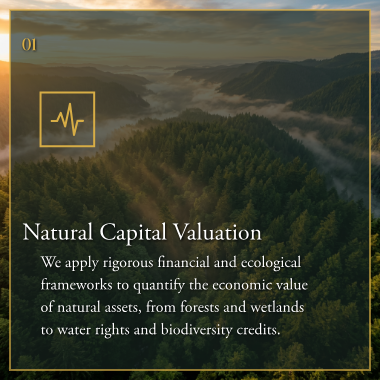 Natural Capital Valuation