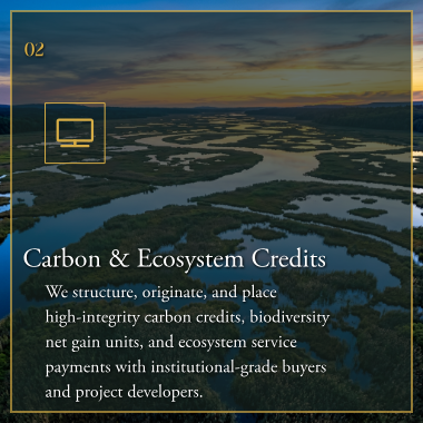Carbon & Ecosystem Credits