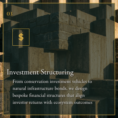 Investment Structuring