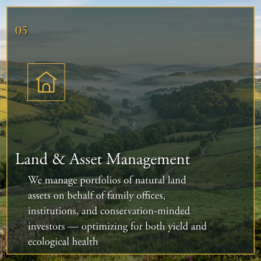 Land & Asset Management