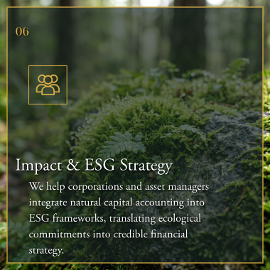 Impact & ESG Strategy